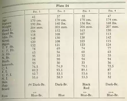 Plate 24